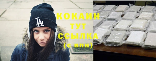 соль ск Инсар