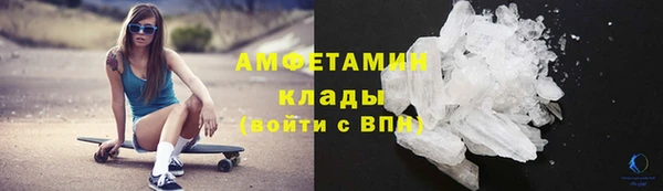 амф Инта