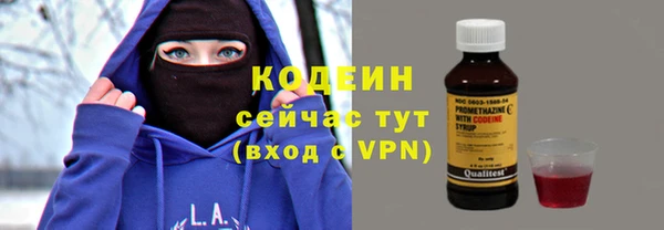 соль ск Инсар