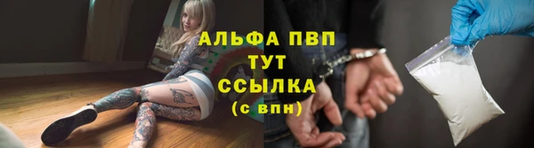 соль ск Инсар