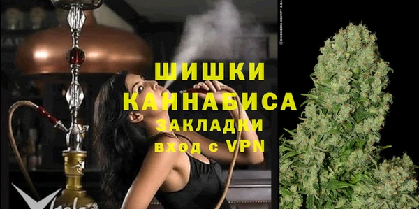 амф Инта