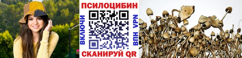 Купить где  Томилино  Галлюциногенные грибы прущие грибы 